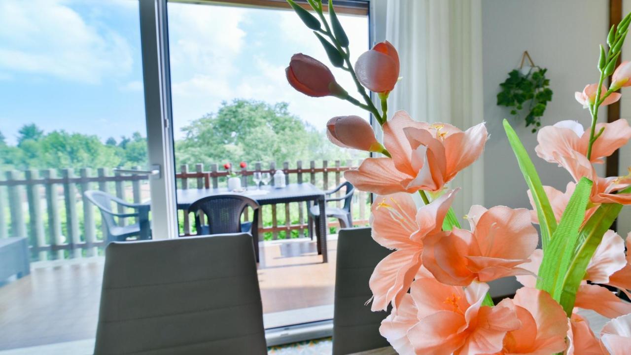Lakeview Apartment
